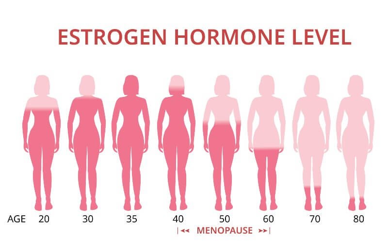 levels of estrogen