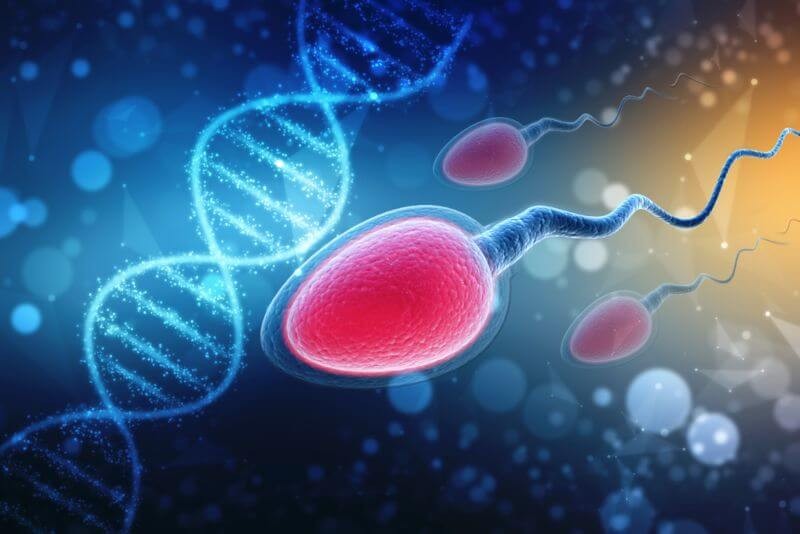 Sperm DNA fragmentation testing