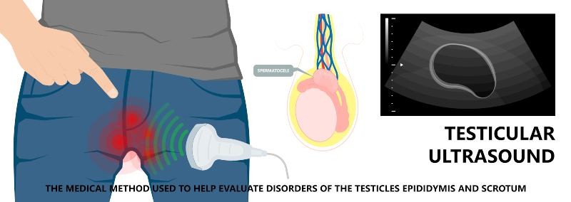 testicular atrophy diagnosis by ultrasound