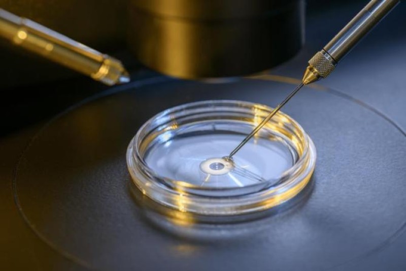 In vitro fertilizacija korišćenjem mikrokapilarne cevi