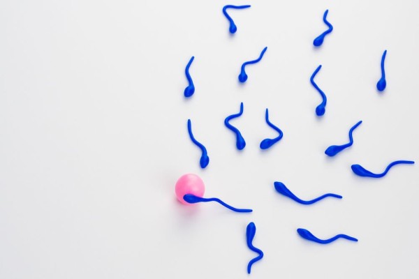 علاج تشوهات الحيوان المنوى مستشفى بداية