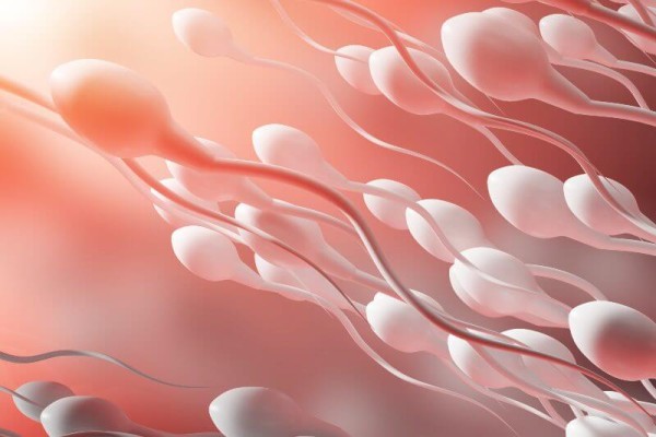 Normal sperm motility to get pregnant