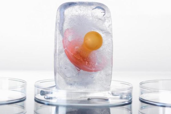 نصائح بعد ترجيع الأجنة المجمدة