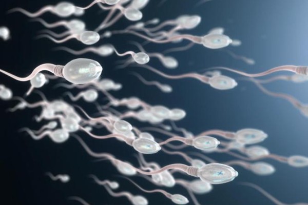 مواصفات السائل المنوى لحدوث الحمل مستشفى بداية