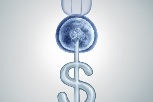 IVF Cost In Egypt