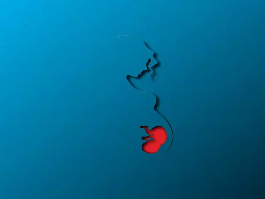أنواع الإجهاض 