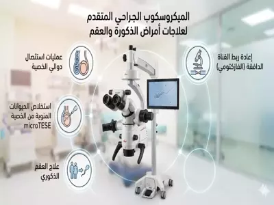 أهمية الميكروسكوب الجراحي للعقم عند الرجال