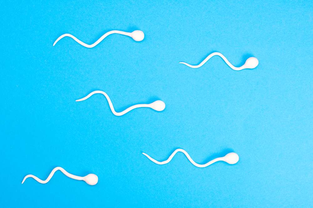low sperm count treatment