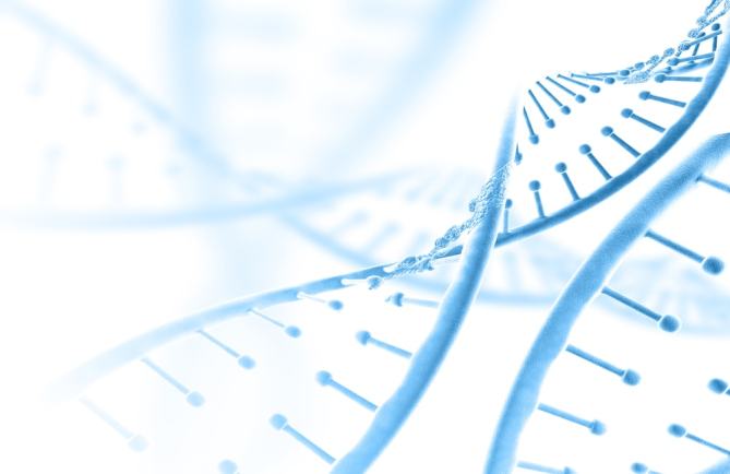 ما هو علم الوراثة ؟