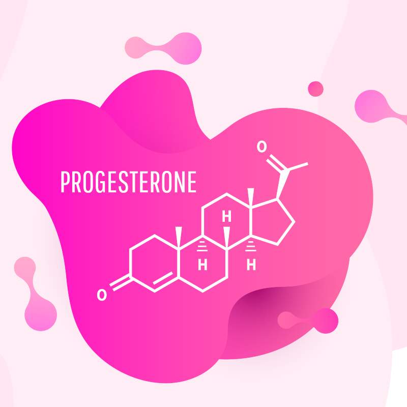 Progesterone hormone function